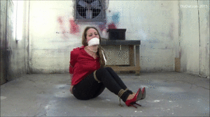 www.dizdat.com - 1730 Brittany thumbnail
